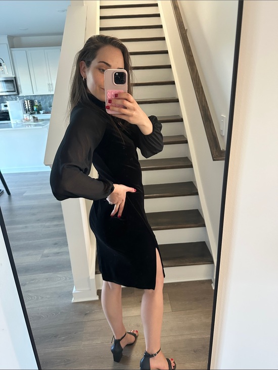 Alexa B Nites Dresses & Skirts - AlexaB Nites Black Long-Mesh-Sleeve Velvet Midi Dress / Sz6/Small